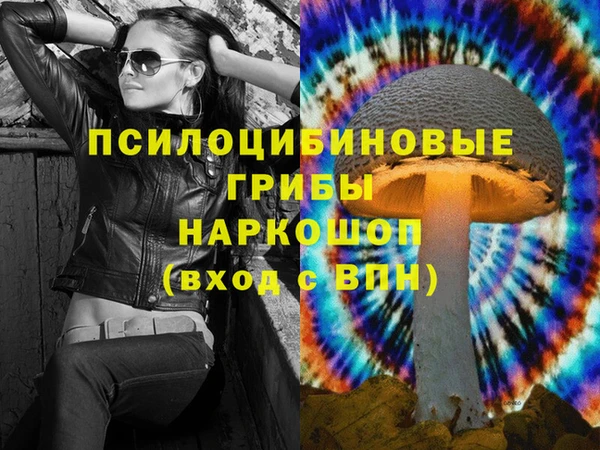 бошки Армянск