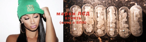 сатива Арсеньев