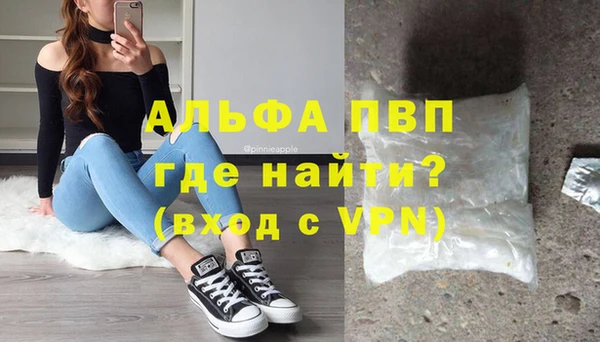 сатива Арсеньев