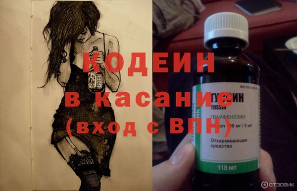 сатива Арсеньев