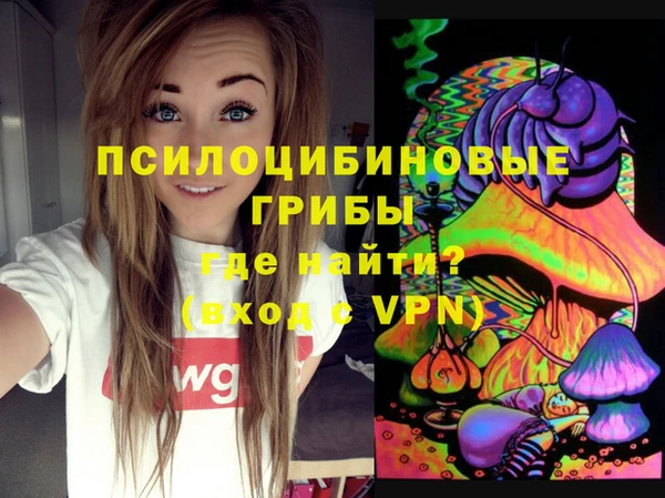 бошки Армянск