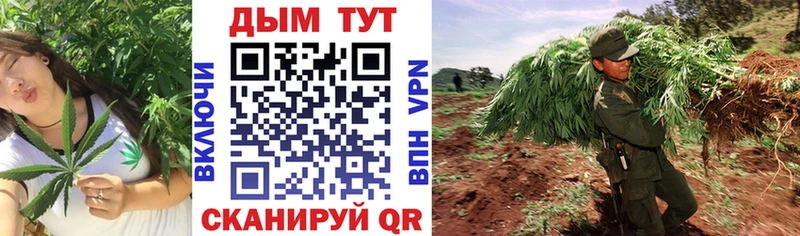 что такое наркотик  Сим  Каннабис White Widow 